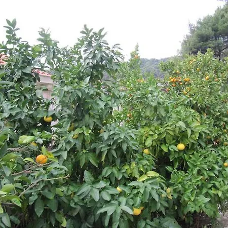 Appartement In With Sea View, Balcony, Air Conditioning, Wifi 5197-2 *