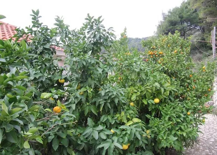 Daire In With Sea View, Balcony, Air Conditioning, Wifi 5197-2 *