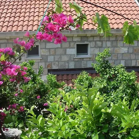 In With Sea View, Balcony, Air Conditioning, Wifi 5197-2 Saplunara